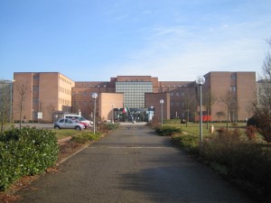 Progetto esecutivo del nuovo polo ospedaliero del basso ferrarese. (1996/98)